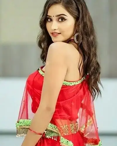 Call Girls Service Hitech City